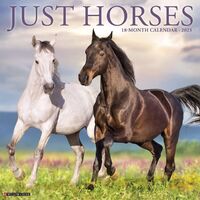 2023 Calendar - Just Horses