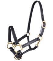 Star Leather Foal Halter