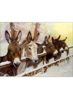 Christmas Cards 10 Pack - Donkey Friends