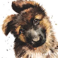 Puppy Dog Eyes Card - German Shepherd