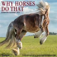 2023 Calendar - Why Horses Do That