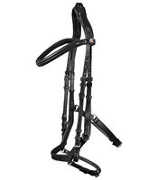 X-Line Relaxation Bridle