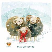 10 Pack Charity Cards - Huddling Herdwicks - Available August 2023