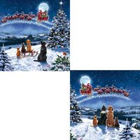 Luxury Christmas Cards 10 Pack  - Christmas Eve Dogs