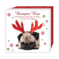 Boxed Christmas Cards 40 Pack - Yuletide Pups