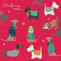 Charity Cards 10 Pack - Doggy Jumpers