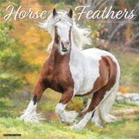 2023 Calendar - Horse Feathers