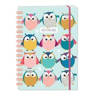 A5 Hardcover Notebook - Little Owls