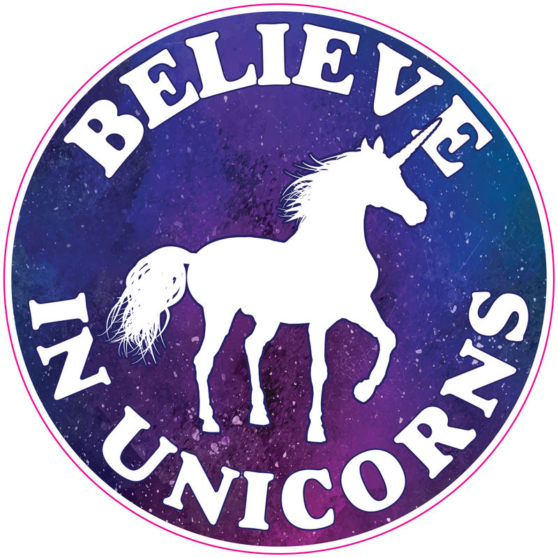 Vinyl Decal - Believe In Unicorns