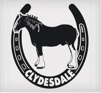Vinyl Decal - Clydesdale in Horseshoe 6