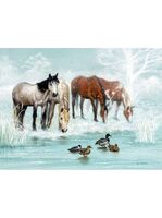 Christmas Cards 10 Pack - Frosted Pond