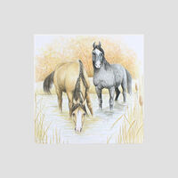 Greeting Card - Horses in Water