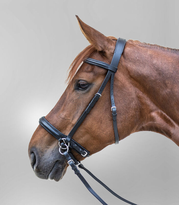 Star Bitless Bridle-81385