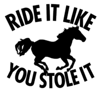 Vinyl Decal - Ride It Like You Stole It