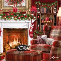 10 Pack Charity Cards - Cosy Christmas