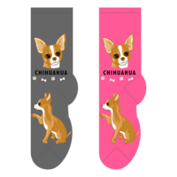 Foozys Ladies Socks - Chihuahua