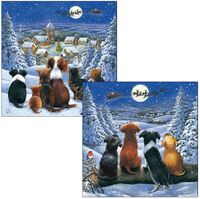 Christmas Cards 10 Pack - Santa's Flight
