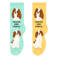 Foozys Ladies Socks - Cavalier King Charles