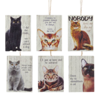 Wooden Cat Sayings Ornaments - Set of 6