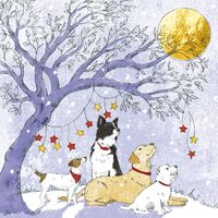 10 Pack Charity Cards - Friends Stargazing - Available August 2023