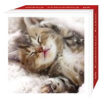 Boxed Christmas Cards 20 Pack - Christmas Cats