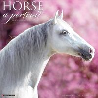 2023 Calendar - Horse: A Portrait