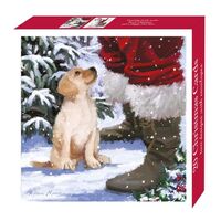 Boxed Christmas Cards 40 Pack - Santa's Friend