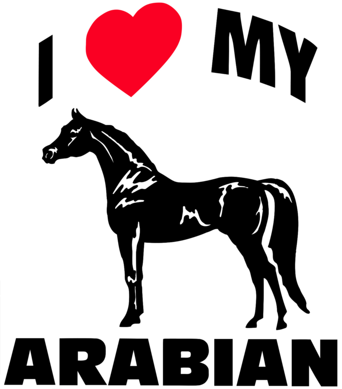 Vinyl Decal - I Love My Arabian 6