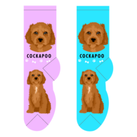 Foozys Ladies Socks - Cockapoo