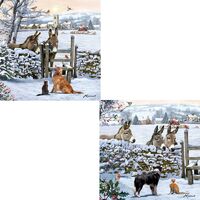 Luxury Christmas Cards 10 Pack - Donkey Encounter