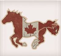 Vinyl Decal - Canada Single Horse - 6