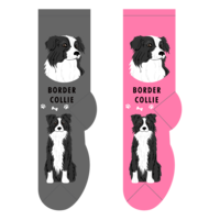 Foozys Ladies Socks - Border Collie
