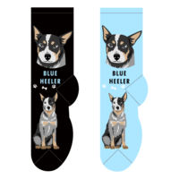 Foozys Ladies Socks - Blue Heeler