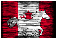 Vinyl Decal - Canadian Flag Horse