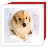 Boxed Christmas Cards 20 Pack - Christmas Pups