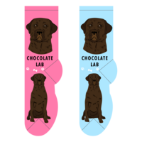 Foozys Ladies Socks - Chocolate Lab