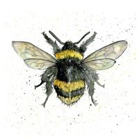 Feathers Card - Bumble Bee