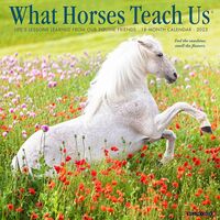 2023 Calendar - What Horses Teach Us