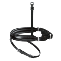 Passier Exchangeable Crank Noseband with Flash
