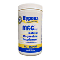 Hypona Mag Vet Supplement - 800 gm