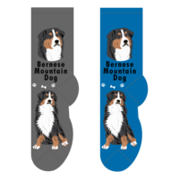 Foozys Ladies Socks - Bernese Mountain Dog