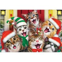 Christmas Card - Cats Selfies