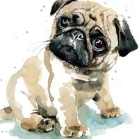 Puppy Dog Eyes Card - Pug