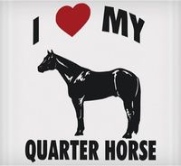 Vinyl Decal - I Love My Quarter Horse 6