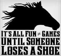 Vinyl Decal - It's All Fun & Games Until Someone Loses a Shoe 6