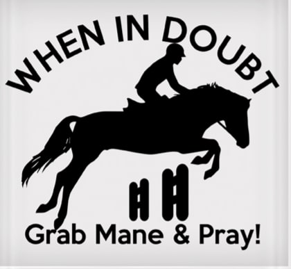 Vinyl Decal - When in Doubt Grab Mane & Pray 6