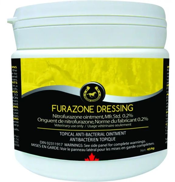 Furazone Dressing 454 g