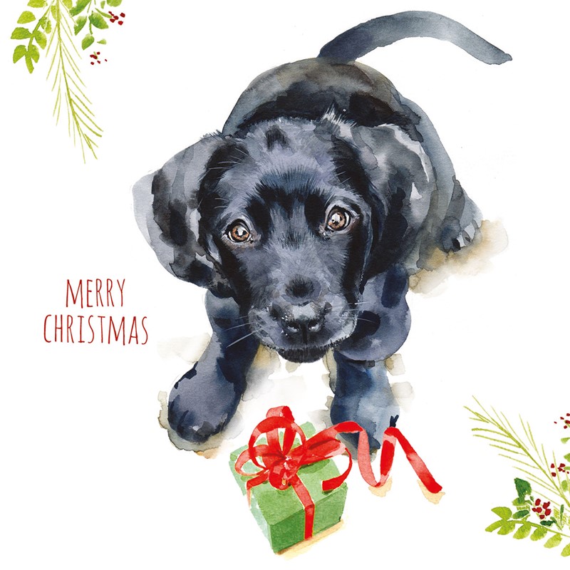 10 Pack Charity Cards - Puppy Dog Wishes