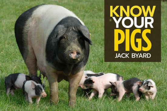 Know Your Pigs