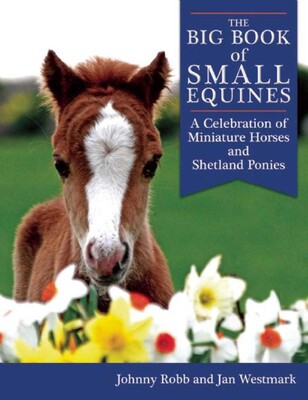 The Big Book of Small Equines